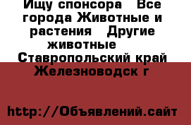 Ищу спонсора - Все города Животные и растения » Другие животные   . Ставропольский край,Железноводск г.